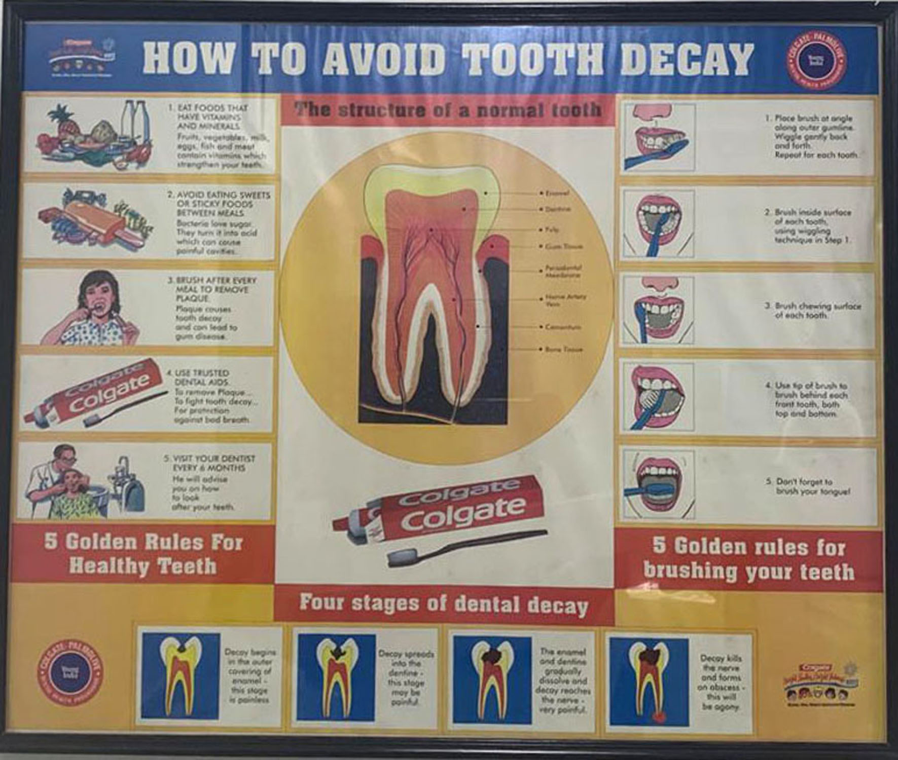 WhatsApp-Image-2021-04-09-at-12.16.56-PM-2